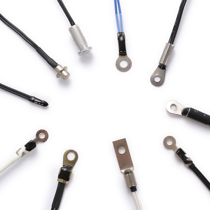 Temperature Probe