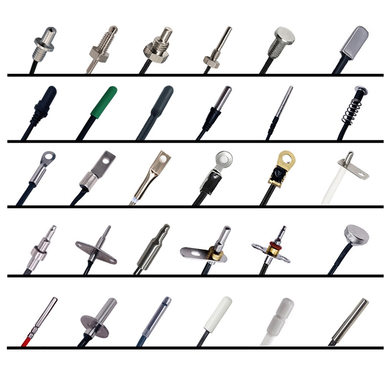 Temperature Probe