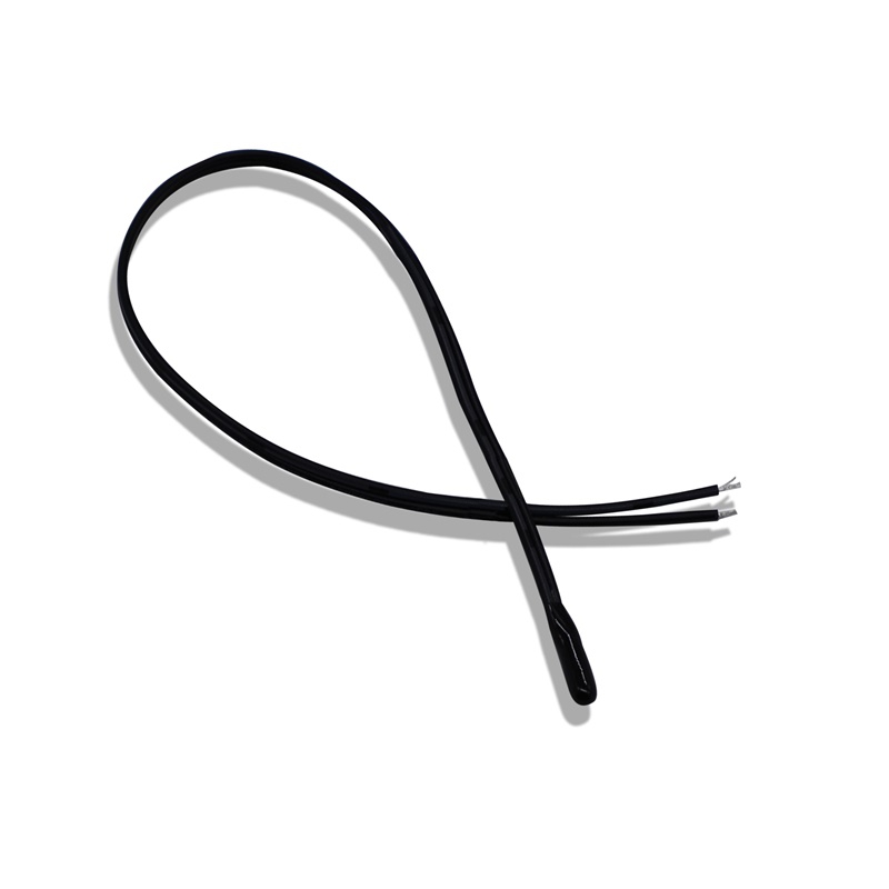 Temperature Sensor